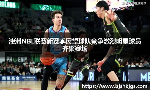 安信13娱乐